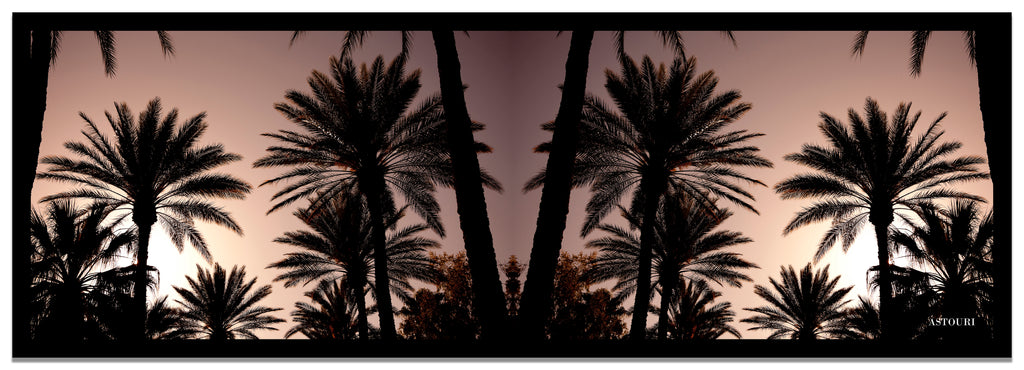 Extra Large Los Angeles Palm Tree Shawl